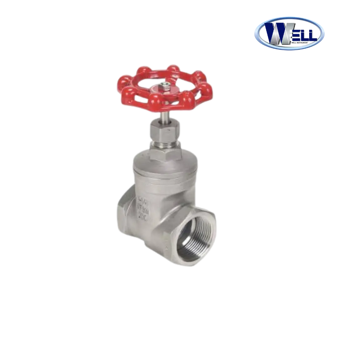 "WELL" GV202 Gate Valve 316